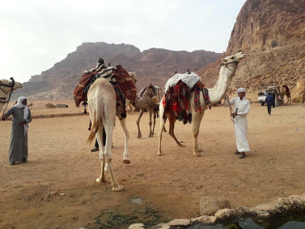 Wadi Rum Bedouin Time Kültér fotó